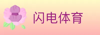 闪电体育 logo